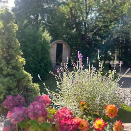 Het Blij Hen Oudenbosch