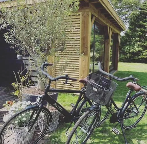 Het Blij Hen * Oudenbosch