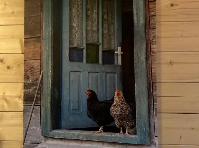 Casa vacanze Het Blij Hen Oudenbosch