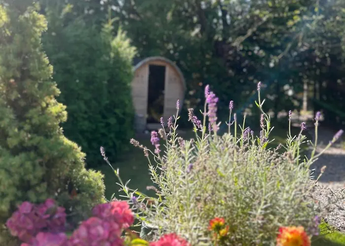 Het Blij Hen Oudenbosch